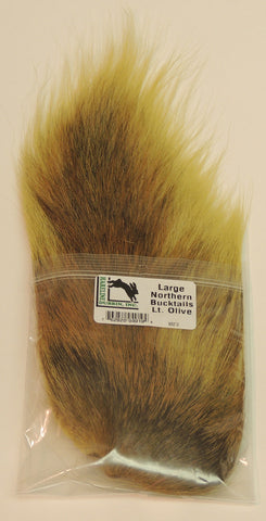 Northern Bucktail
